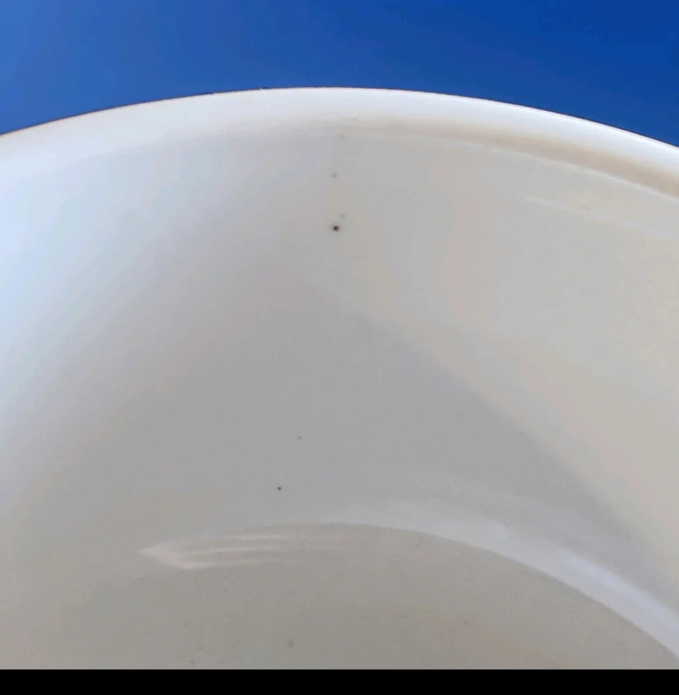 VTG Williams Sonoma White Heavy Stoneware Bowls — Set of 2 (6¾